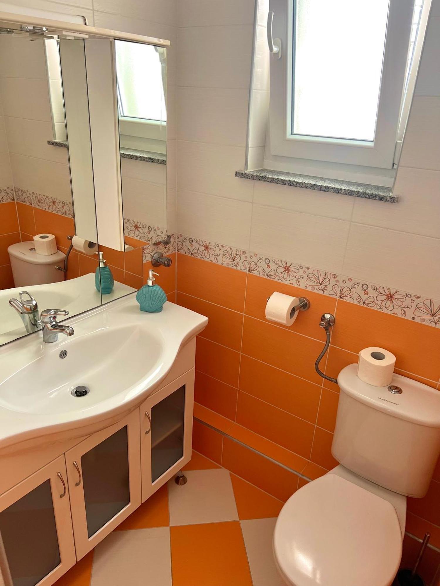 Apartment Babic